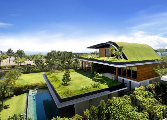 Everything You Need To Know About Green Roofs