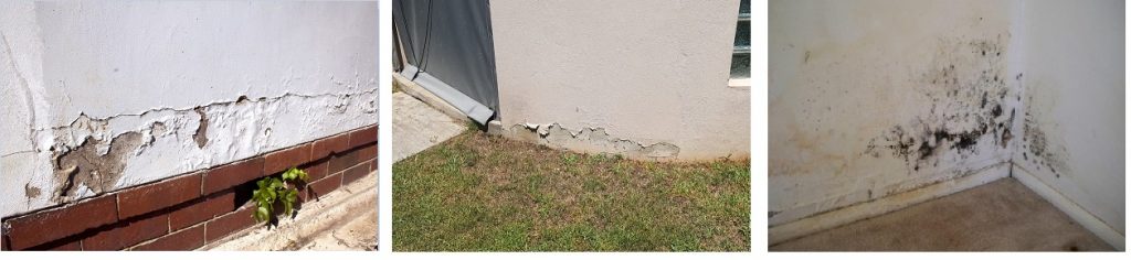 Damp Proofing Specialists