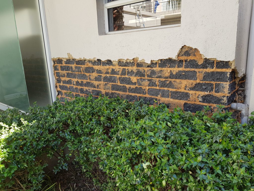 Damp Proofing Cost