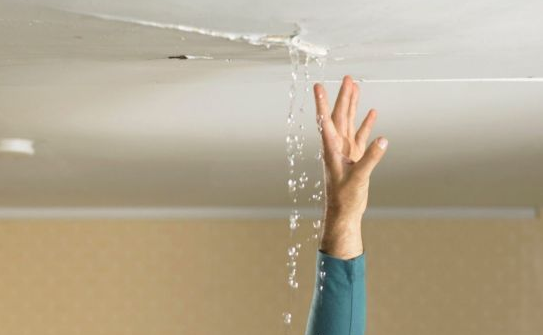 Roof Leaks