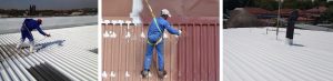 Roof Painting